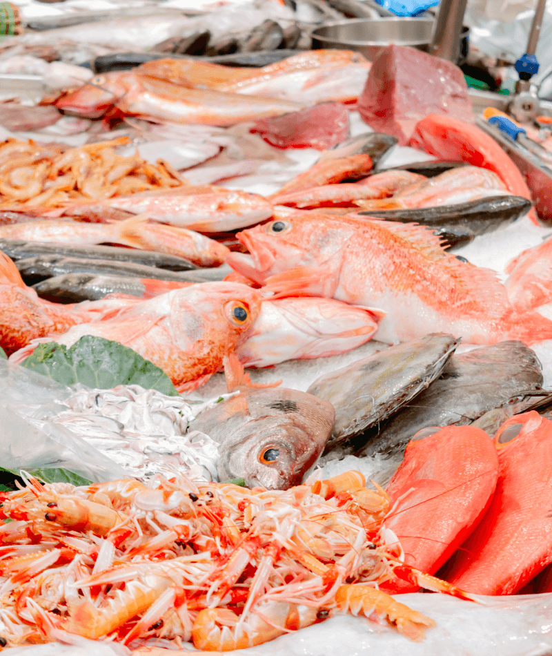 commandez-nordfish-