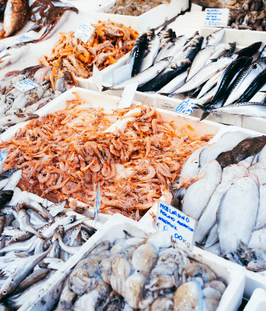nordfish-poissonnerie-