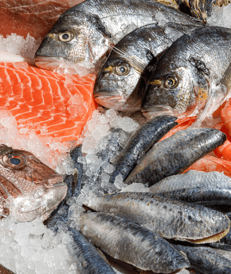 reduits-nordfish-